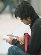 student_dog