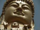 Buddha gro klein gold